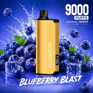 Alibarbar ingot Blueberry Mint 9000 puffs